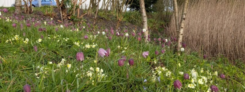 Happy Easter, is spring finally here?