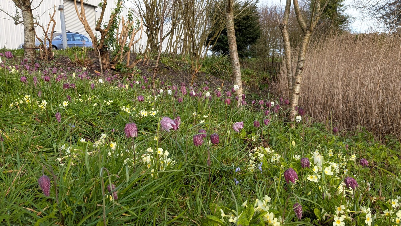 You are currently viewing Happy Easter, is spring finally here?